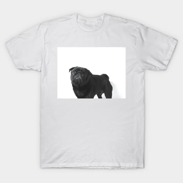 Hugo The black Pug - T-Shirt by jlwilliamsss